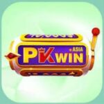 Pkwin Game