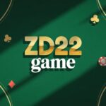 ZD22 Game