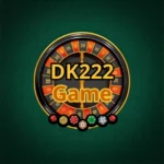 DK222 Game
